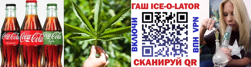 Купить закладки  Щёлково  Cannafood конопля